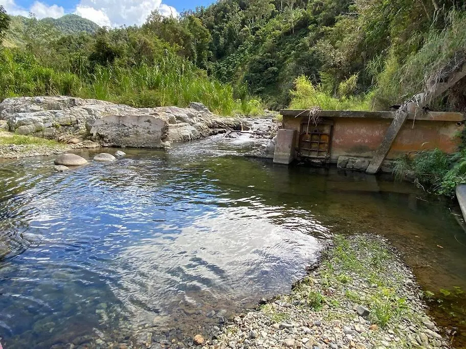 Cottage In Hacienda Prosperidad Coffee Farm Porto Rico